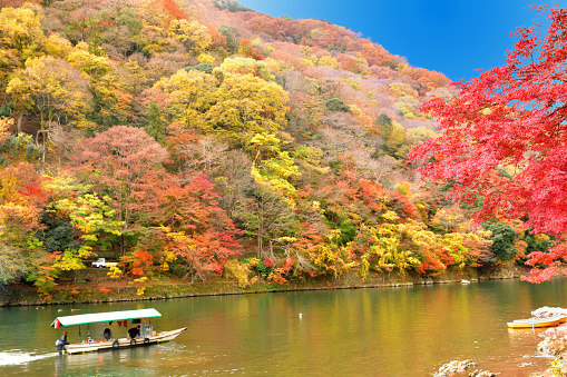 Arashiyama area is one of the most beautiful areas in Kyoto for its beautiful landscape and scenery in autumn in particular with its wonderful autumn leaf color.\nHere are photos, taken at the end of November along Oi River near Togetsukyo Bridge and along the upstream from the bridge.