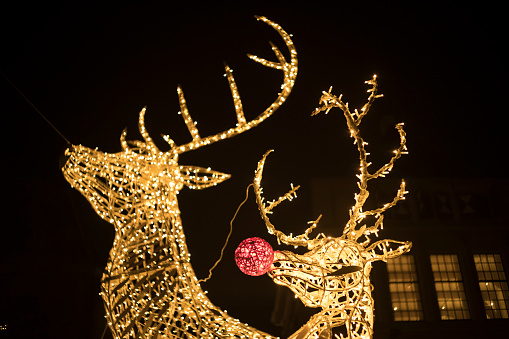 Christmas light Deer decorations in front of city hall in Zwolle with snow during a cold winter night