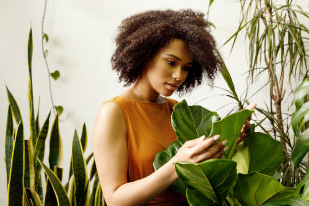 istock Young woman looking at green leaves in her botanical studio 1191648864