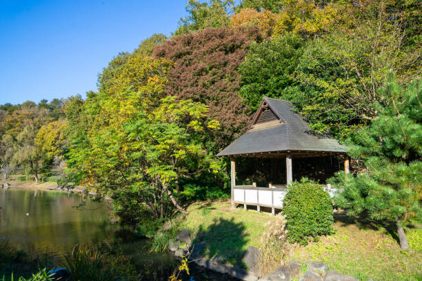 istock Park in autumn.Autumn landscape background. 1191650052