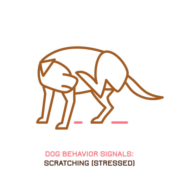 ilustraciones, imágenes clip art, dibujos animados e iconos de stock de icono de comportamiento del perro - scratching dog skin condition allergy