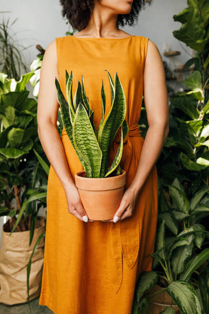 istock Unrecognizable woman holding a plant in a pot in workshop 1191652379