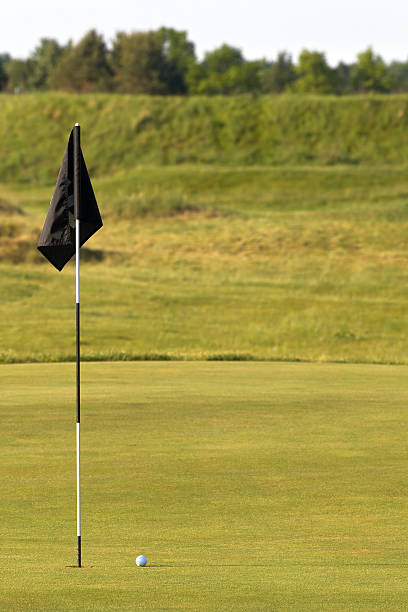 istock Golf Shot That Nearly Went In! 119165361