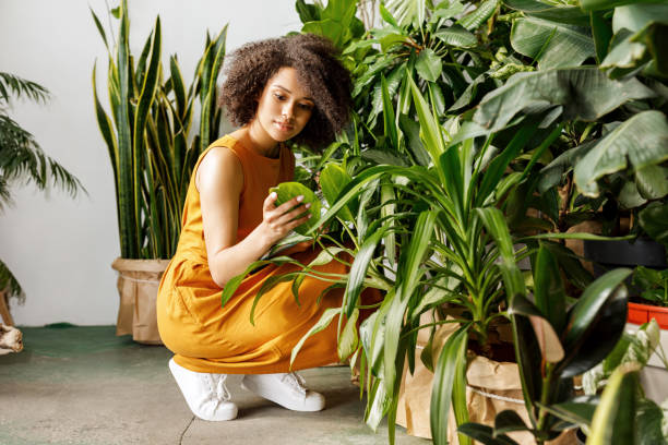 istock Woman botanist sitting observing plant at her botanic workshop 1191655331
