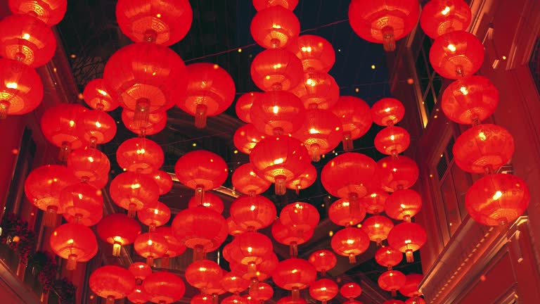 Lunar New Year