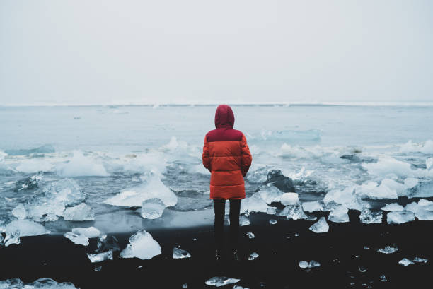 istock Black beach. Icelandic coast 1191662947