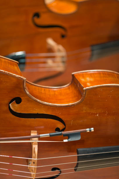 istock Close-up of a contrabass in front of another 1191663273