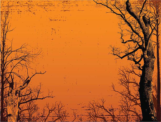 Spooky Fall Borders 4,000+ Spooky Tree Border Stock Photos, Pictures & Royalty-Free Images ...