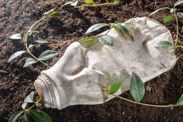 o problema da humanidade é a poluição ambiental com plástico. uma flor irritada luta que brando através de um frasco plástico. conceito de vida - mankind - fotografias e filmes do acervo