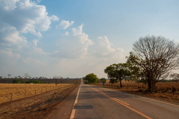 empty road by sunset in central Brazil