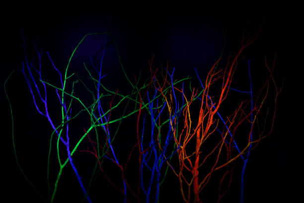 Neon Glow Acrylic UV Blacklight Paint on tree branch, reflective glow in the dark background. Luminous paint abstract background.
