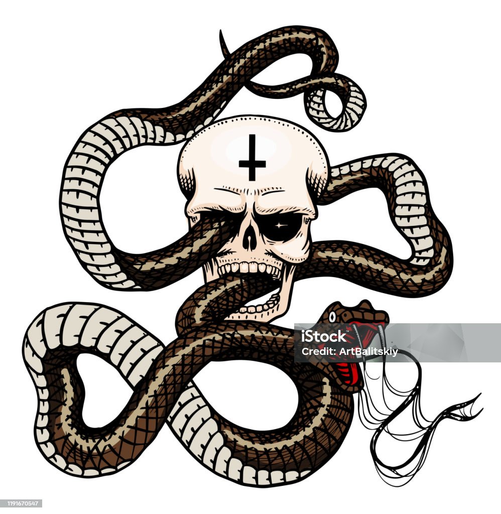 Snake With A Skull In Vintage Style Serpent Cobra Or Python Or Poisonous  Viper Engraved Hand Drawn Old Reptile Sketch For Tattoo Anaconda For  Sticker Or Logo Or Tshirts Stock Illustration -