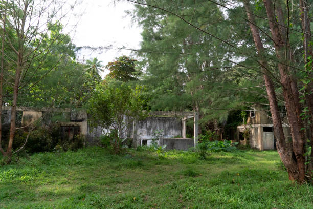 istock abandoned resort in the tropical jungle 1191673238