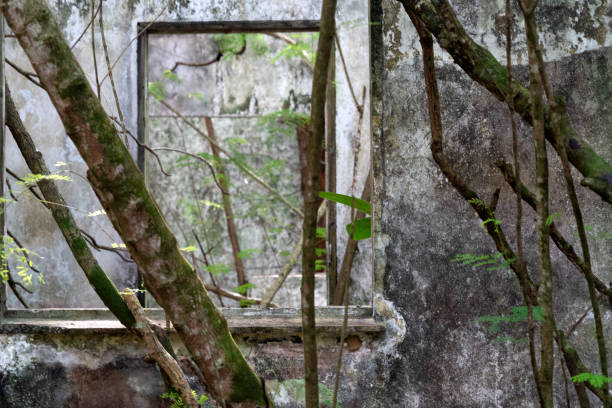 istock abandoned resort in the tropical jungle 1191673517