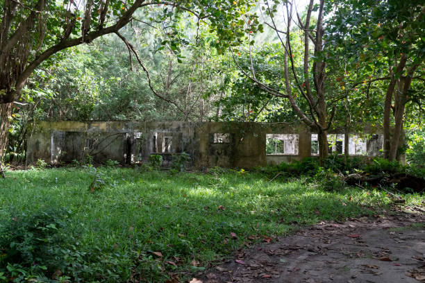 istock abandoned resort in the tropical jungle 1191673571
