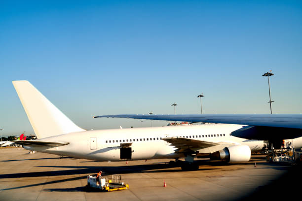 istock Living that jet-setter life 1191674458