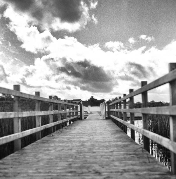 istock Wooden boat jetty at a lake 1191675295