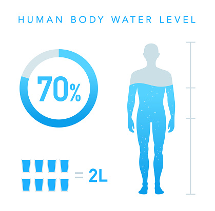 Water Percentage of human body illustration, Chart, man