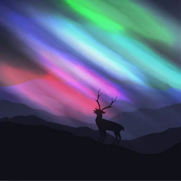 Vector illustration of Stag on alpine mountains peak at night with aurora