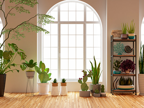 Green Plants and Flowers with Window