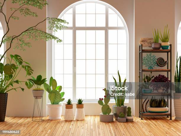 Green Plants And Flowers With Window Stock Photo - Download Image Now - Houseplant, Plant, Domestic Room