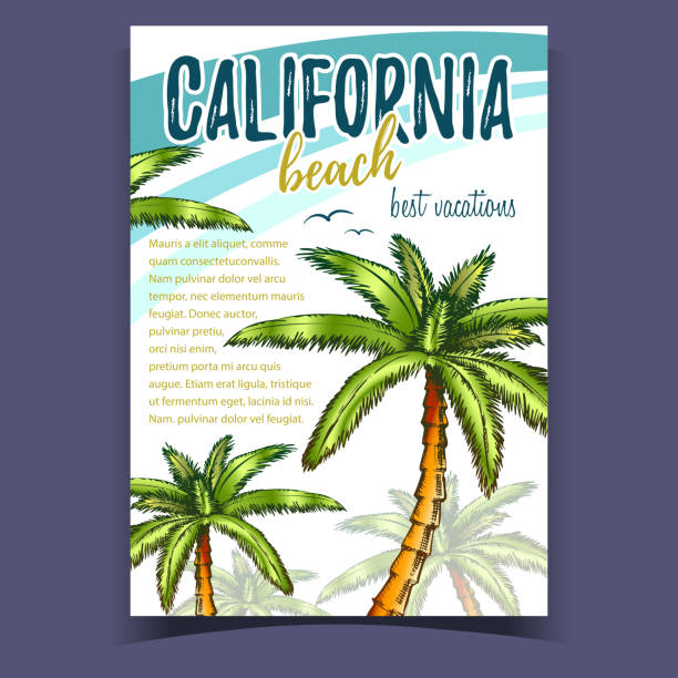 istock Tropical Palms of California Beach Banner Vector 1191681004
