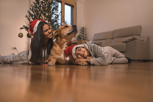 Happy kids have fun with big dog for Christmas time
