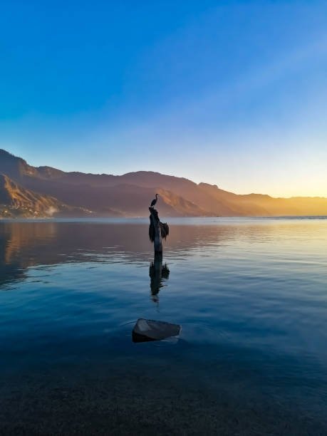 istock Rock bird on the lake 1191685247