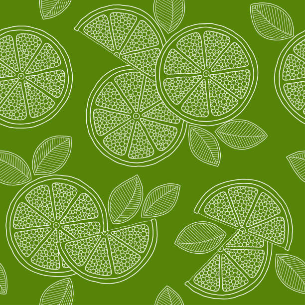 wapno bez szwu wzór. kolorowe limonki szkic. - christmas christmas ornament green lime green stock illustrations