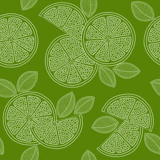 Vector illustration of Lime seamless pattern. Colorful sketch limes.