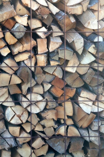 istock Pile of Logs 1191686950