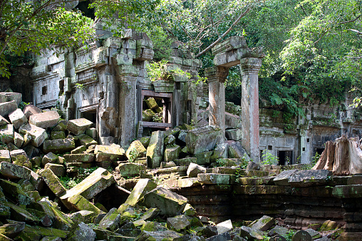 Beng Mealea Temple, Siem Reap, Cambodia. Intact and fallen or collapsed temple walls are framed and covered by the vine like roots of the Spueng tree and the frieze of green leaf ivy and vegetation that clings to the masonry and stonework in this ancient ruin, Beng Mealea or Bung Mealea Temple, Angkor Wat period, Siem Reap, Cambodia