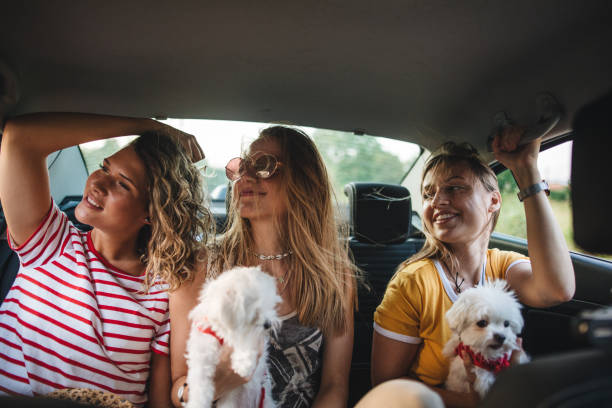 istock Let's go for a ride together 1191690942