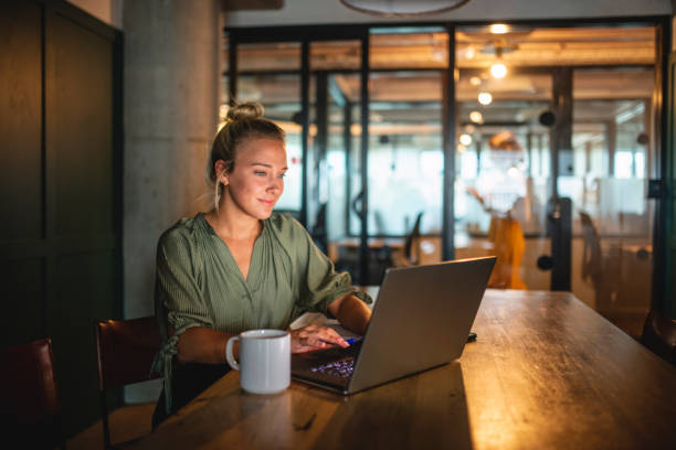 istock Young Businesswoman Working on Project in Board Room 1191693481