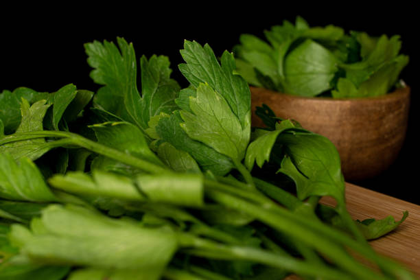 istock Flat leaf parsley isolated on black glass 1191699576