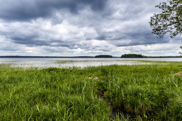 istock Trekking near a lake 1191700750