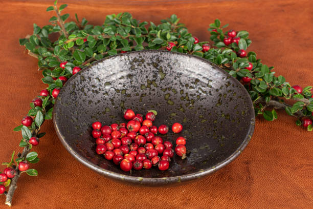istock Wild red rowanberry on cognac leather 1191703526