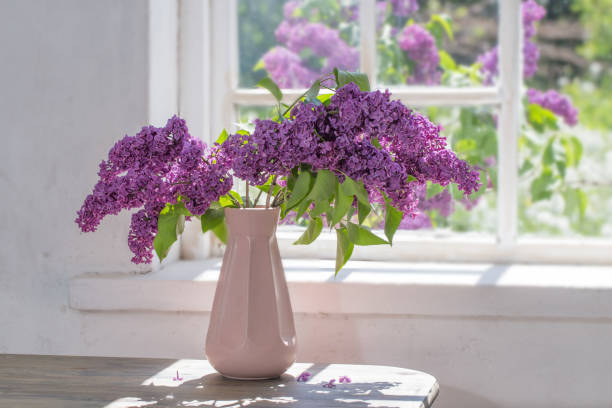 istock lilac in vase against the window on a sunny day 1191706501