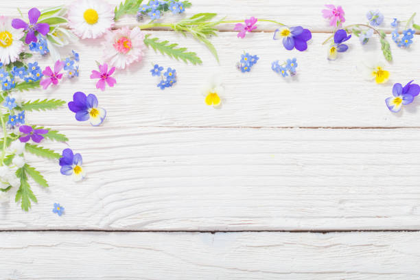 istock beautiful flowers on wooden background 1191707031