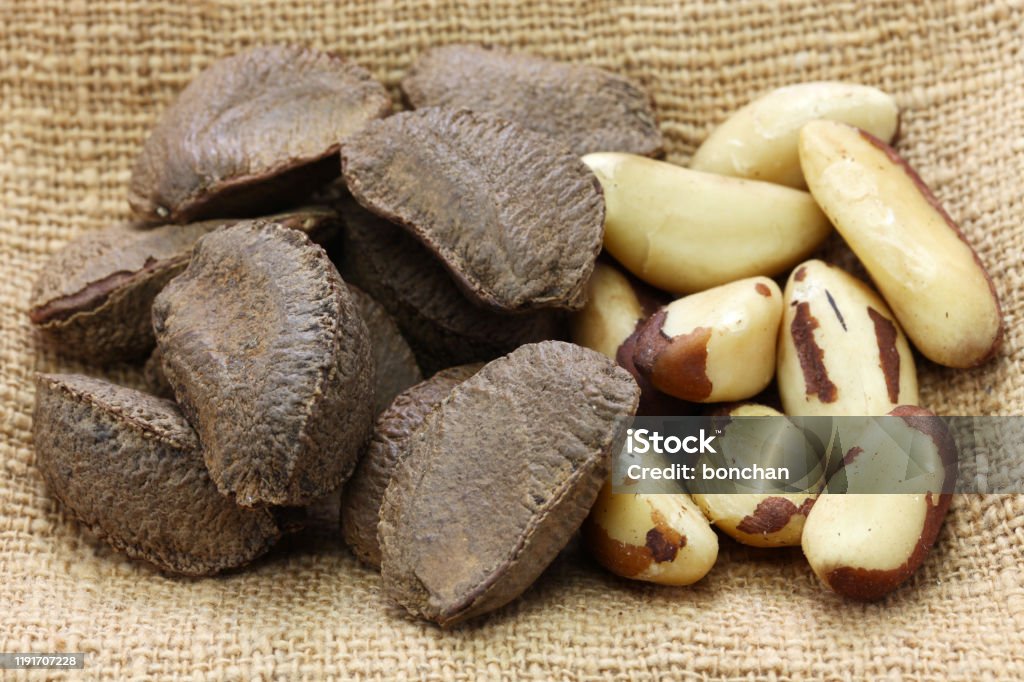 brazil nuts, in shell ,and shell removal Brazil Nut Stock Photo