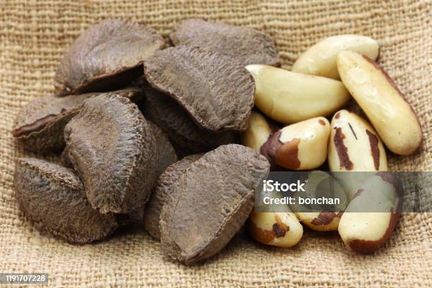 Brazil Nuts In Shell And Shell Removal Stock Photo - Download Image Now - Brazil Nut, Bolivia, Brazil