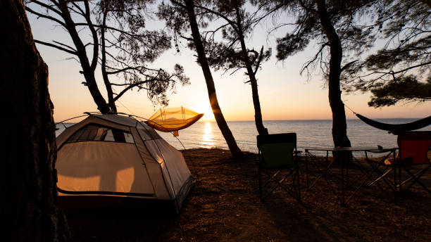 istock tents and hammock in summer camp 1191710021