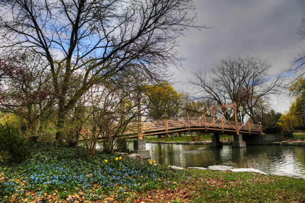 ponte pedestre no parque de victoria, kitchener, canadá - kitchener - fotografias e filmes do acervo