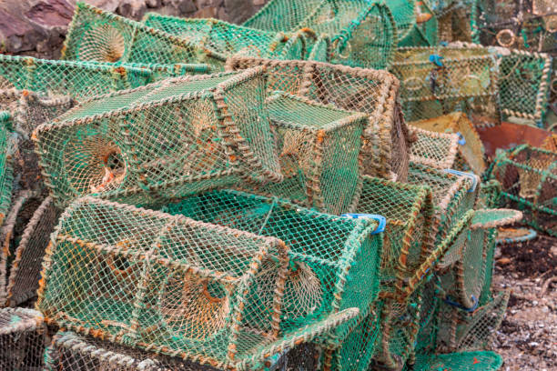 istock group of lobster pots 1191717285