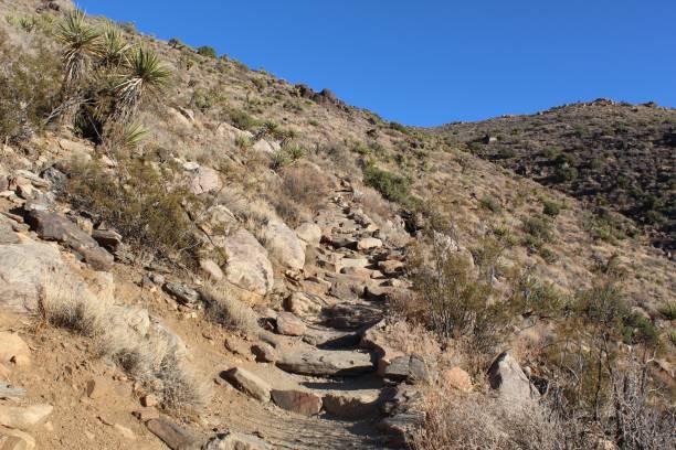 istock RYAN MOUNTAIN HIKE - JOSHUA TREE NP - 103119 C 1191718861