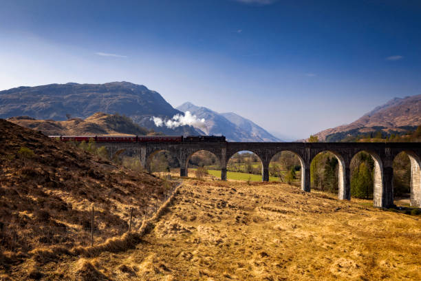 treno a vapore giacobita sul viadotto di glenfinnan in scozia - glenfinnan foto e immagini stock