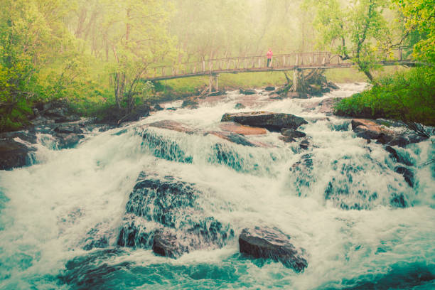 Travel and hiking. Tourist woman standing on bridge, enjoying waterfall torrential river along the Aurlandsfjellet mountains in Norway Sogn og Fjordane, foggy hazy summer day