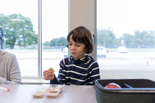 Mixed race schoolboy eats a healthy lunch of lunchmeat, cheese and crackers in the school cafeteria.