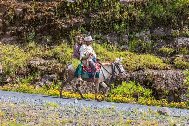 mężczyzna i dziewczyna jazda konna na drodze w etiopii wyżyny - ethiopian highlands zdjęcia i obrazy z banku zdjęć