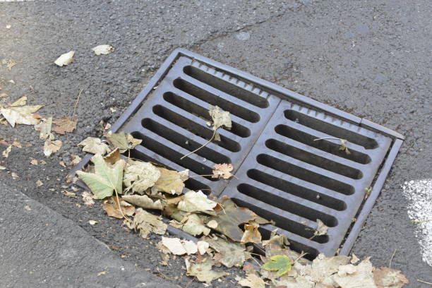istock Manhole cover for drainage rainwater, covered with fallen leaves 1191733683